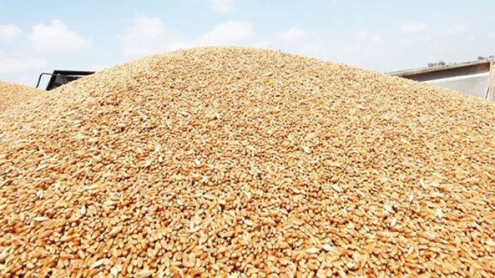 Dövlət Toxum Fondu fabrik və anbarlar alır