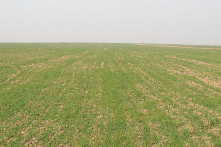 Haramı düzünə həyat verən şirkət!