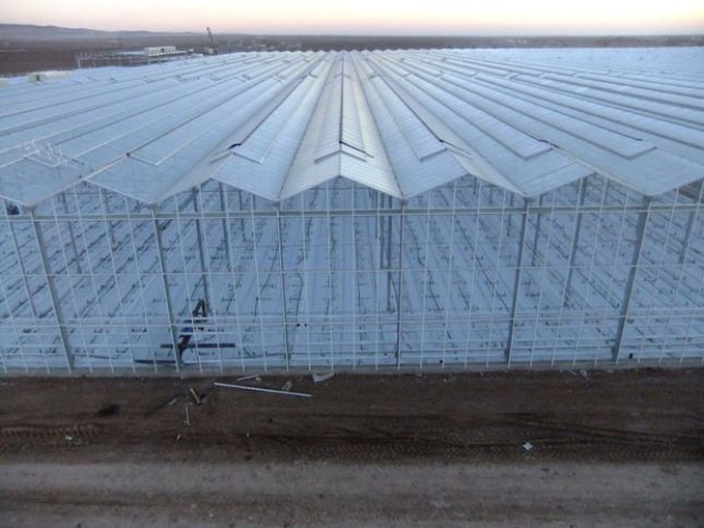 6 hektarda istixana kompleksinin tikintisi tamamlanır