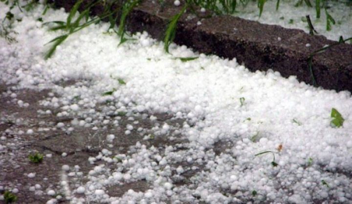 Dolu Gürcüstanda təsərrüfatlara ciddi ziyan vurub