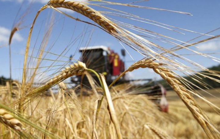 Prezident bir sıra rayonları araşdırmağı tapşırdı - ÖLÇÜ GÖTÜRÜLƏCƏK