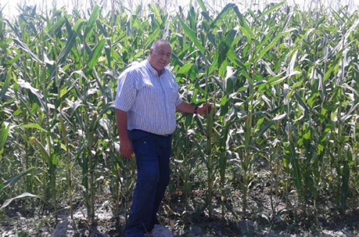 Silos şəklində satıb, tonundan 35-40 manat qazanır