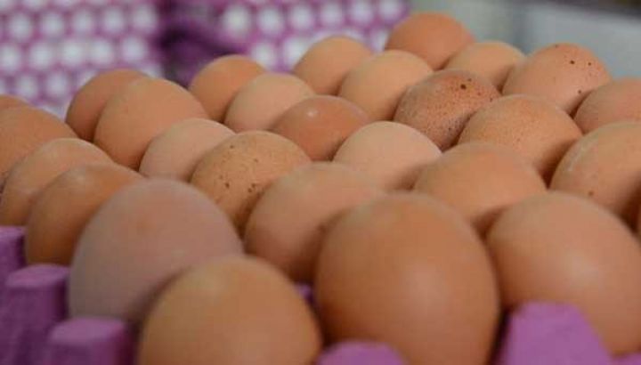 Yumurtanın qiyməti yenidən bahalaşır