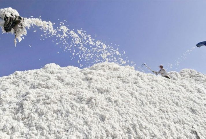 Saatlı rayonu öndədir - SON MƏLUMAT