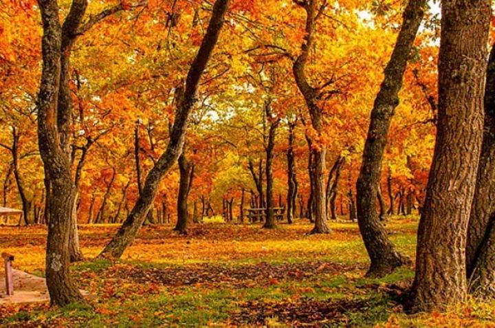 Sabaha olan hava proqnozu açıqlanıb