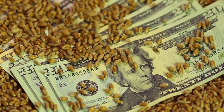 FAO: Dünyanın qida idxalı üçün xərci artır