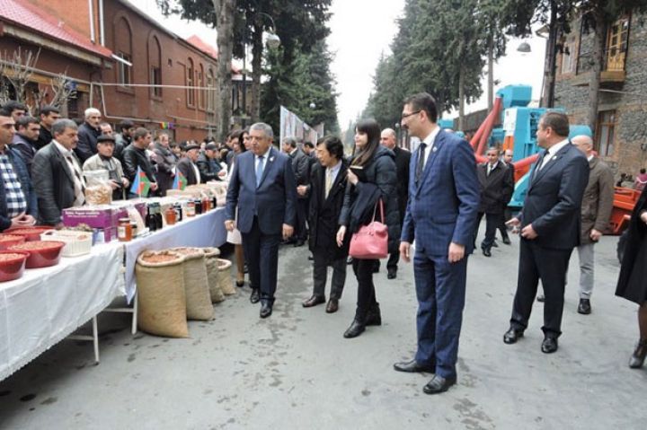 Azərbaycanda ilk Fındıq festivalı keçirildi - FOTOLAR