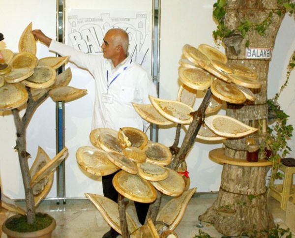 6 min manatlıq bal “dibçəyi” - BAKIDA YARMARKADA