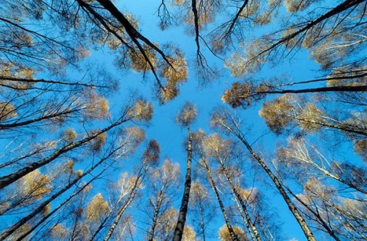 Sabaha olan hava proqnozu açıqlanıb