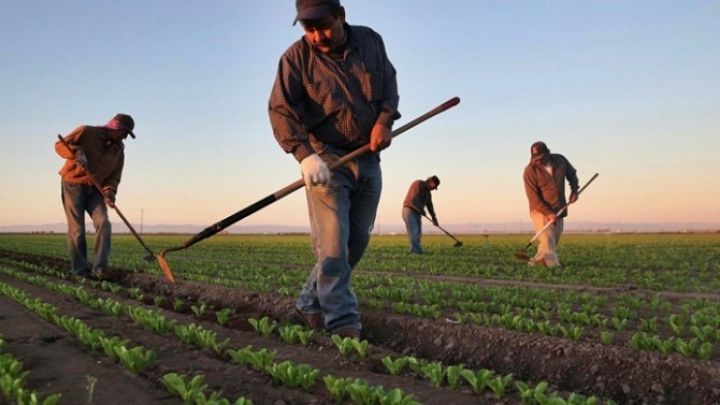 Fermerlərə müjdə - subsidiyalar verilir