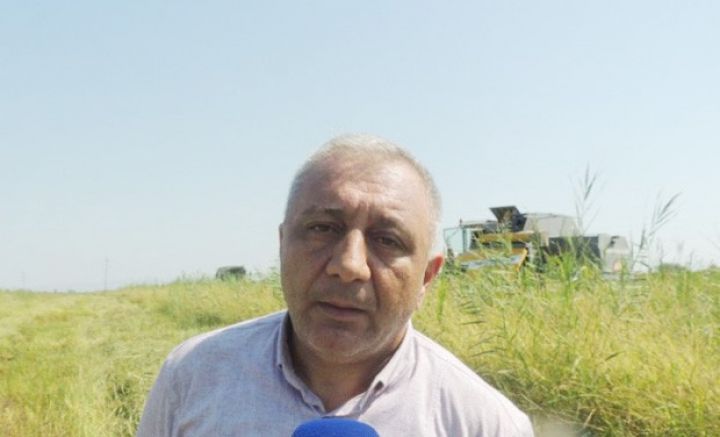 Düyüdən 50 min manat qazanan fermer