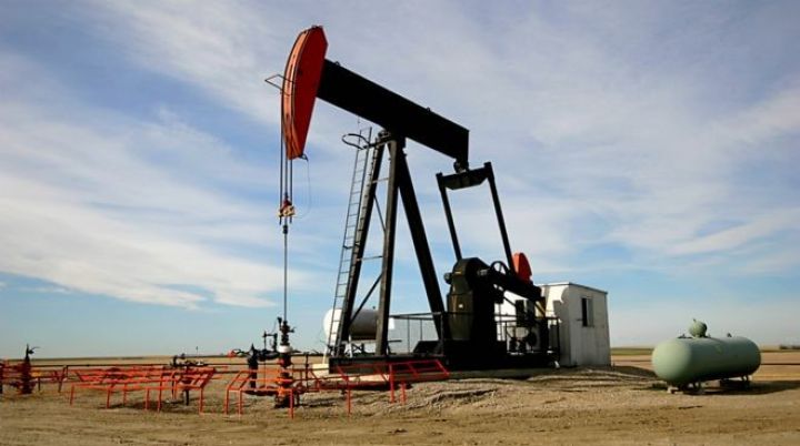 Yeni Zelandiyadan neft qərarı