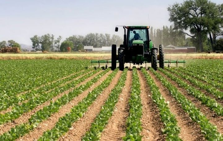 "İstehsal olunur, qısa zamanda satılır, sonra ölkə idxaldan asılı qalır"