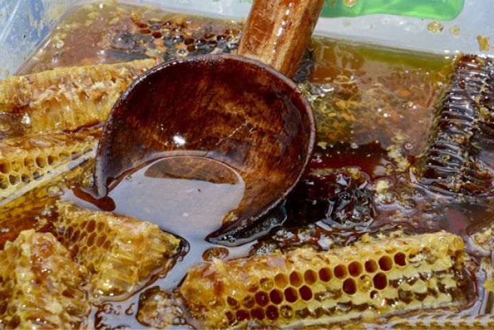 Bu il bal yarmakasının "mükəmməl" olacağı iddia edilir - TƏDBİRLƏR