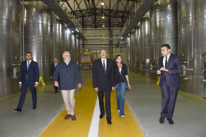 Şamaxıda üzümçülük və şərabçılıq kompleksi işə düşüb