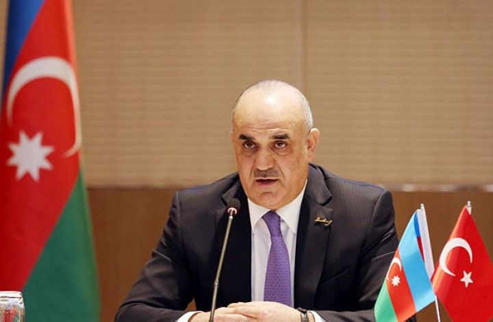 “Azərbaycan və Türkiyə arasında iş icazəsinin verilməsi ilə bağlı problemlər var”