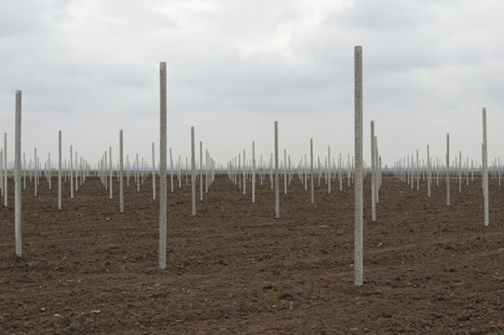 Bu şirkət meyvə bağları salmaq üçün Tərtəri seçdi 