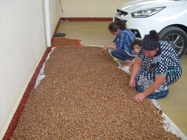 Bu il qiymətin enməsinə baxmayaraq, 114 milyon dollar valyuta gətirib