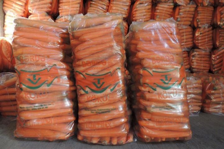 "Yeni üsulla hektardan 50 tondan çox yerkökü götürürük"