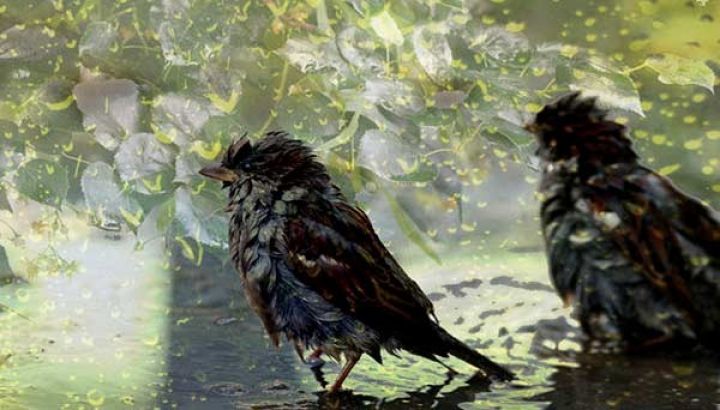  Leysan yağacaq, dolu düşəcək - XƏBƏRDARLIQ