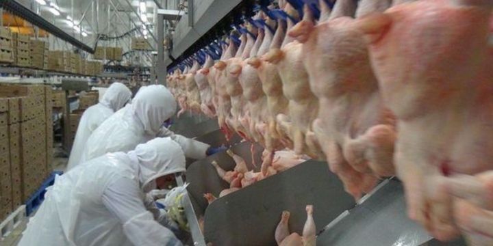 Avropa Rusiyadan toyuq əti idxalına qadağa qoydu