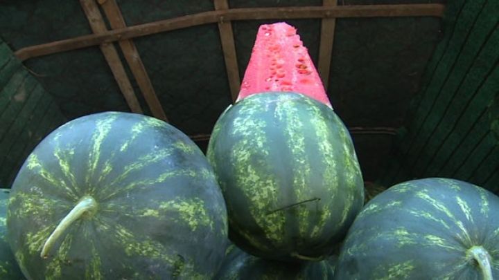 Nazirlikdən qarpızın bahalaşmasına münasibət  