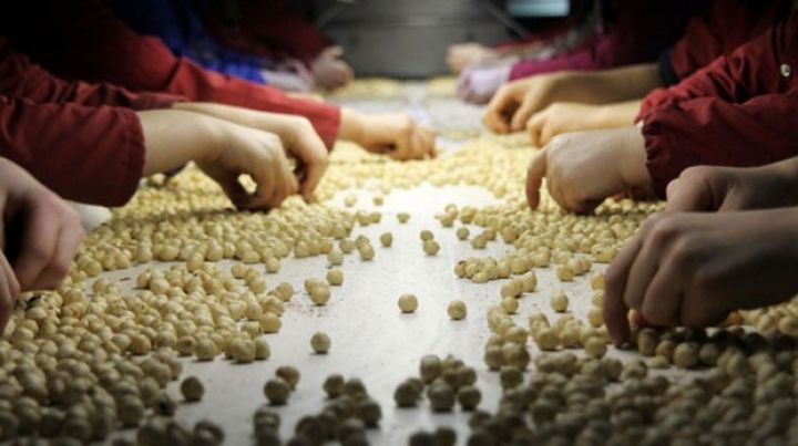 Azərbaycan və İsveçrə şirkətləri razılaşdı