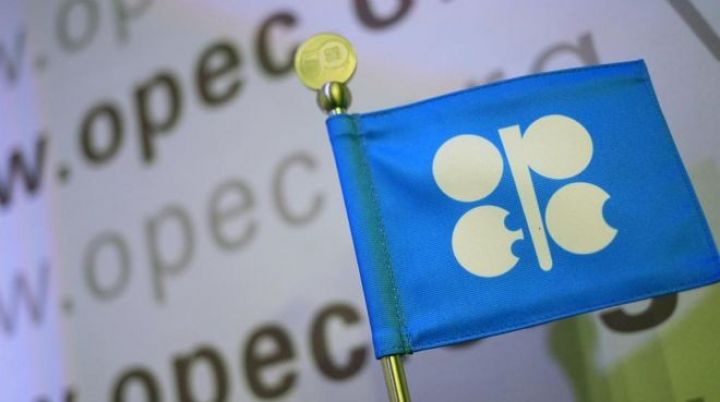 OPEC-in neft hasilatı 10 ayın ən aşağı səviyyəsinə enib