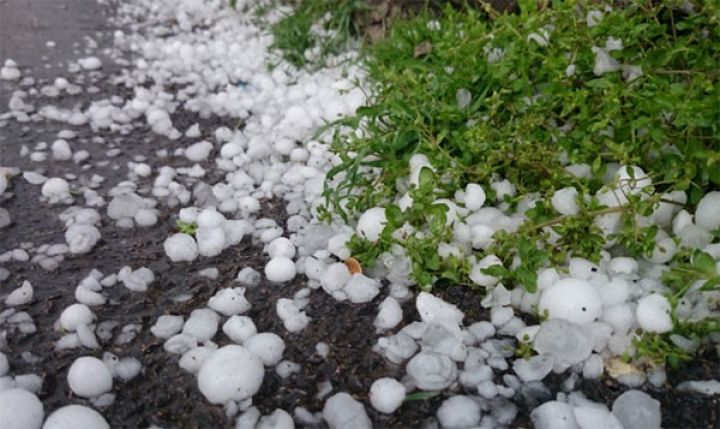 Güclü qərb küləyi əsəcək - XƏBƏRDARLIQ