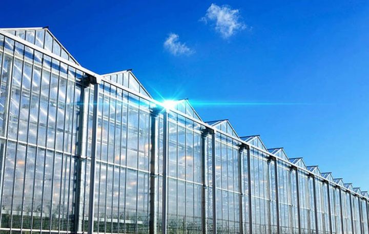 Hacıqabulda istixanalar tikiləcək 