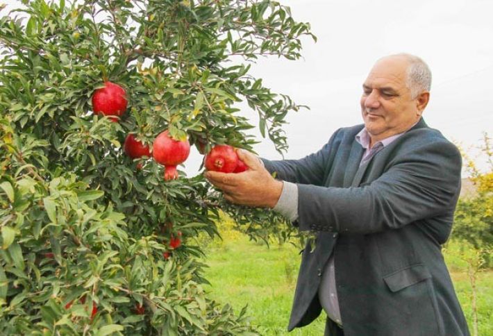Cənnətə düşən bank müştərisi - REPORTAJ