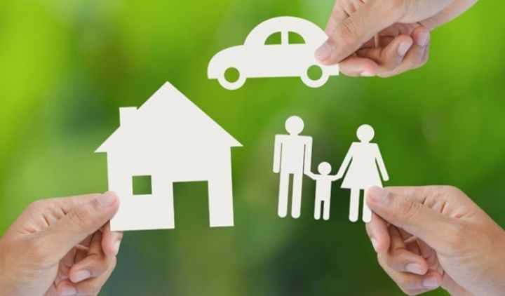 10 ayda sığorta haqları və sığorta ödənişləri - ŞİRKƏTLƏR ÜZRƏ