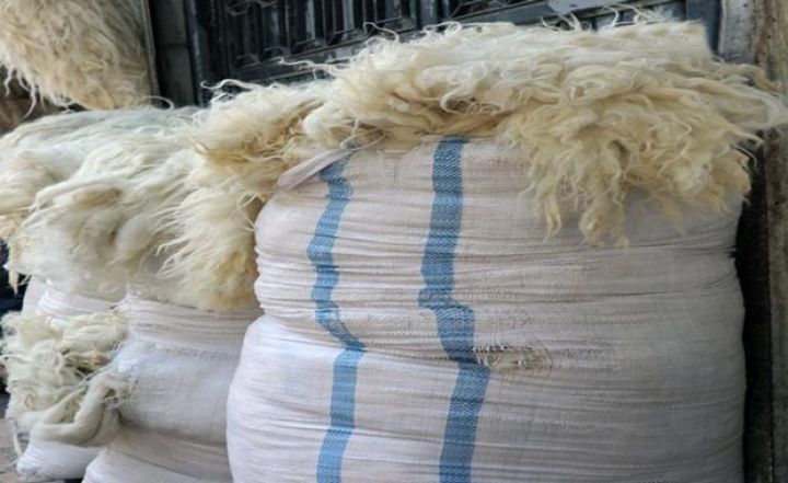 “Azərxalça” gələn ildən əhalidən yun alacaq - TƏLƏBLƏR