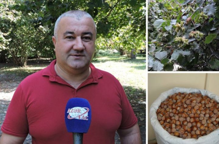 "Hər il 10-12 min manat gəlir götürürəm"