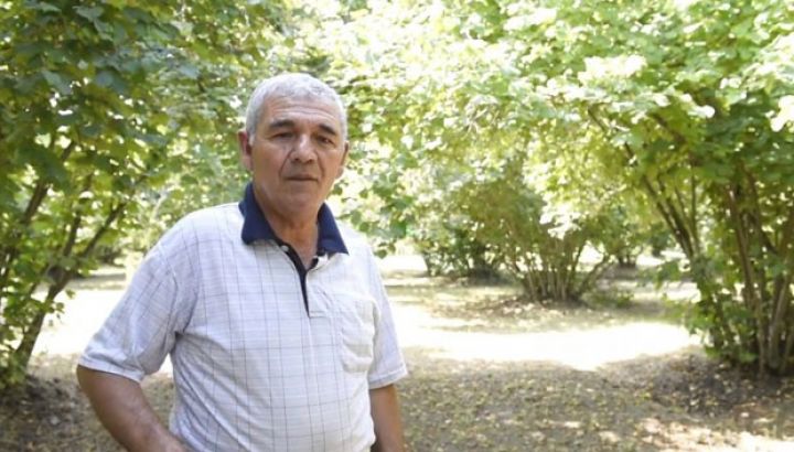 "Günəş işığı düşən fındıq kolunun məhsulu bol olar"