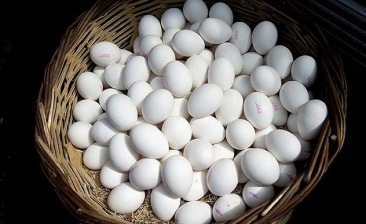 Quşçulardan yumurta qıtlığı iddialarına münasibət!