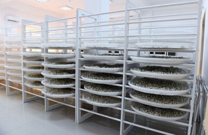 1998-də fəaliyyətini dayandırmışdı, bu gün yenidən işə düşdü 