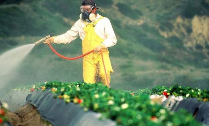 Aqrokimyəvi maddələrlə bağlı xəbərdarlıq! 