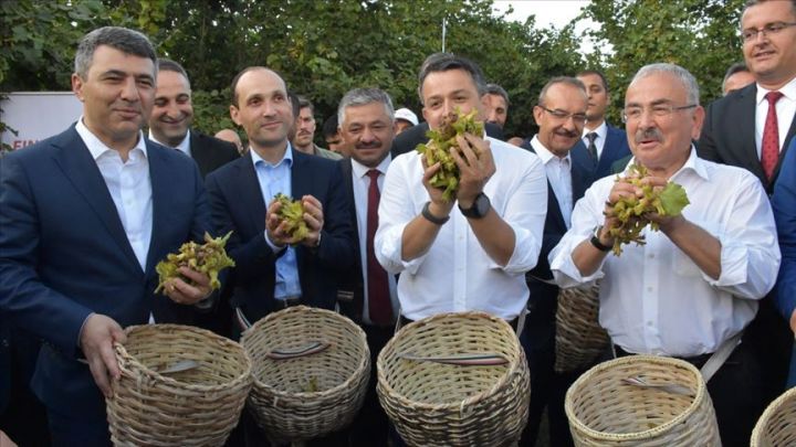 Fındığın 75%-ni istehsal edən 3 ölkə sözü bir yerə qoydu