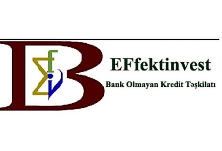 "Effektinvest" BOKT ötən ili mənfəətlə başa vurub