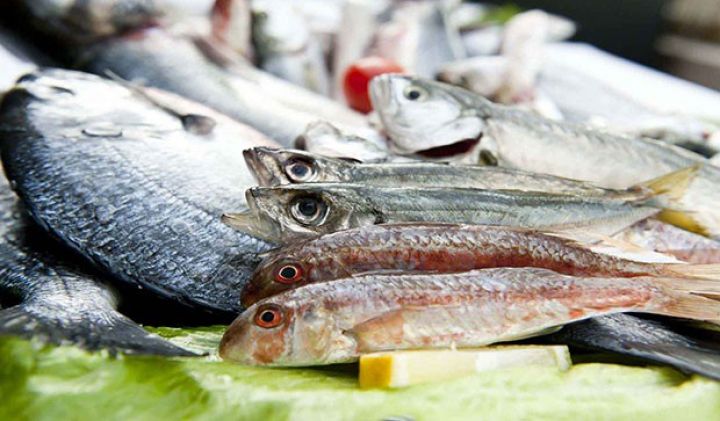 Balıq biznesi ilə məşğul olanlara xəbərdarlıq 