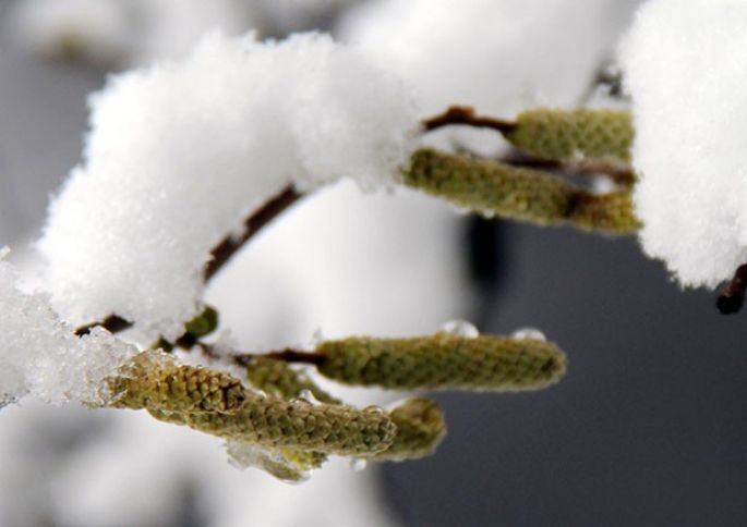 "Dövlət riskin 50 faizini öz üzərinə götürəcək" 