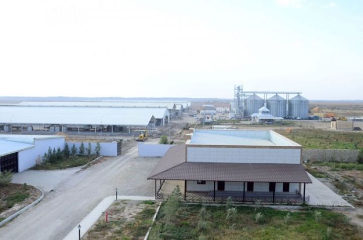İldə 4 milyon litr süd istehsal ediləcək - YENİ AQROPARK