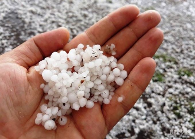 Azərbaycanda dolu daha çox bu rayonlara zərər vurur