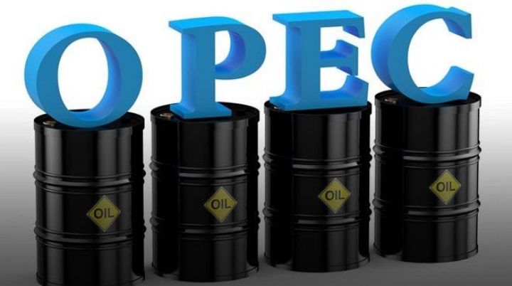 OPEC+ Komitəsinin iclası martın 18-də Bakıda keçiriləcək