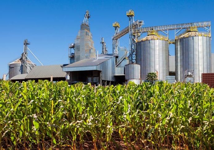 "Bu zavodu tikə bilsək, Azərbaycanı idxaldan azad edə bilərik"