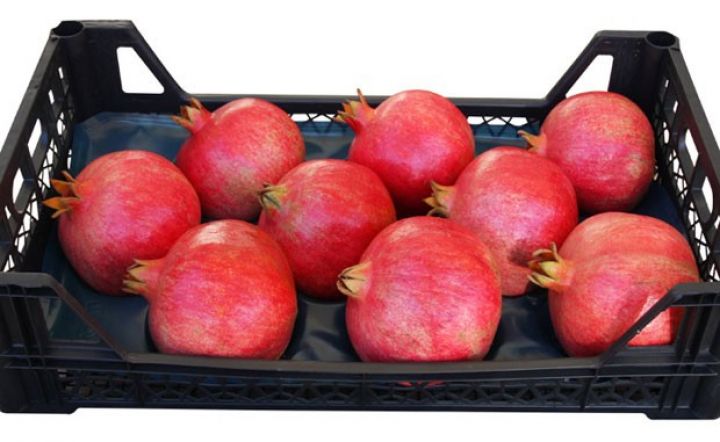 Azərbaycanın nar istehsalçılarının əsas problemləri açıqlandı