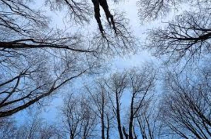 Həftənin ilk iş gününə olan hava proqnozu açıqlandı