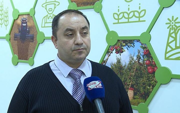 İntensiv bağçılıq genişləndiriləcək, soyuducu anbarların sayı artırılacaq - YENİ DÖVLƏT PROQRAMI