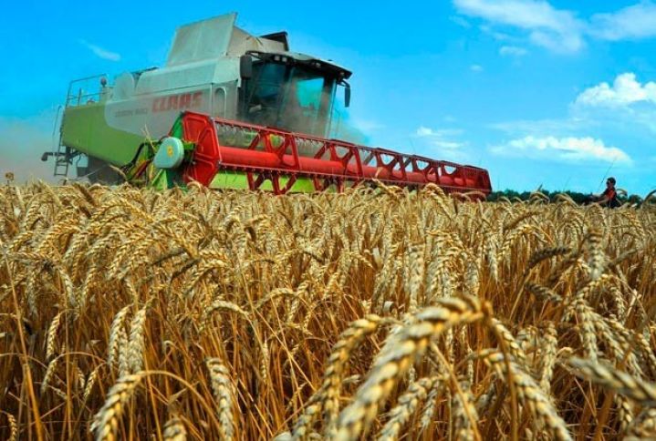 Sertifikatlı toxum əkən fermerlərə subsidiya verilə bilər - QAYDALAR DƏYİŞİR